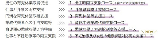 両立支援助成金とは?